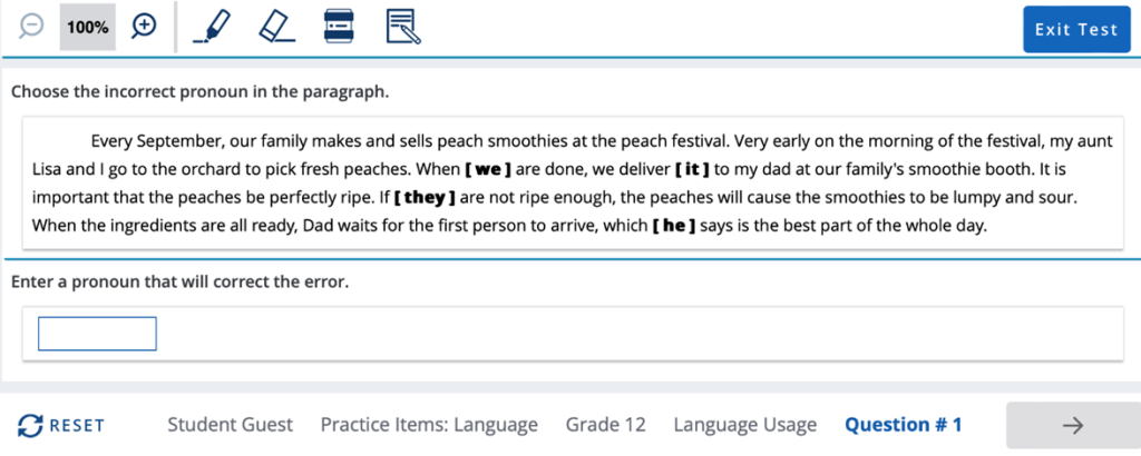 Grade 12 Level Language Usage Question