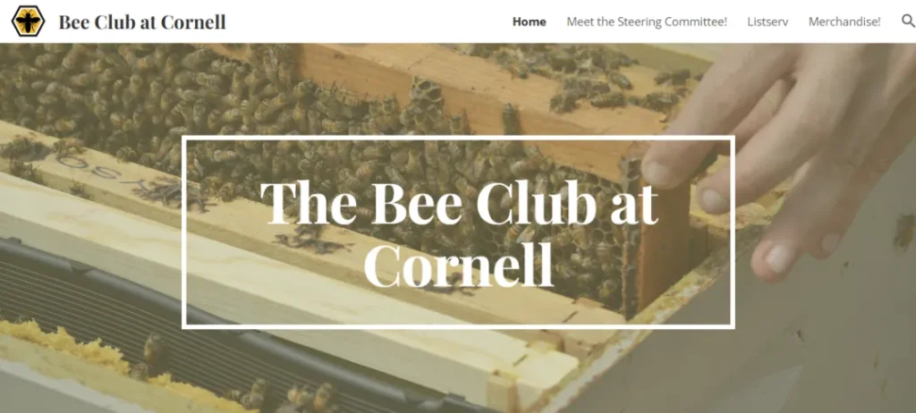 cornel bee club